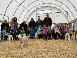 Critter Barn ewes with lambs